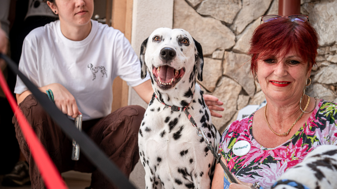 U Šibeniku otvorena Kuća dalmatinskog psa: 'Cilj nam je da ljudi odavde izađu sretniji'