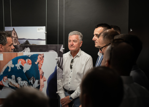 Fotografija 5 - Otvorena Kuća dalmatinskog psa