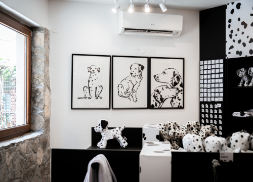 Fotografija 8 - Otvorena Kuća dalmatinskog psa