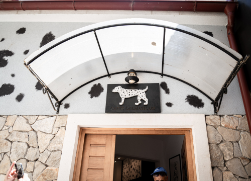 Fotografija 9 - Otvorena Kuća dalmatinskog psa