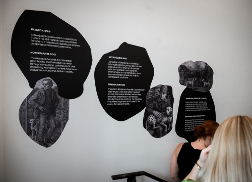 Fotografija 11 - Otvorena Kuća dalmatinskog psa