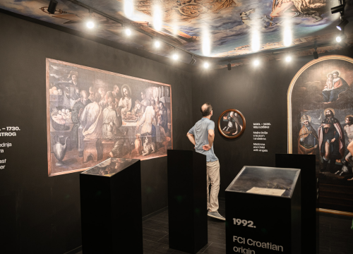 Fotografija 14 - Otvorena Kuća dalmatinskog psa