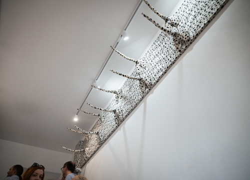 Fotografija 16 - Otvorena Kuća dalmatinskog psa