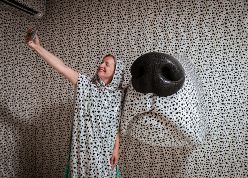 Fotografija 15 - Otvorena Kuća dalmatinskog psa