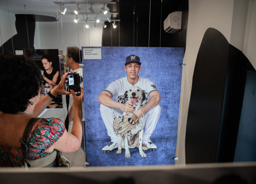 Fotografija 26 - Otvorena Kuća dalmatinskog psa