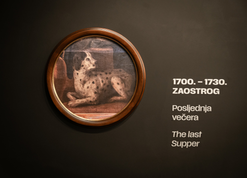 Fotografija 27 - Otvorena Kuća dalmatinskog psa