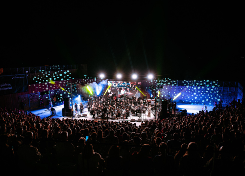 Fotografija 4 - ŠNG svira Arsena