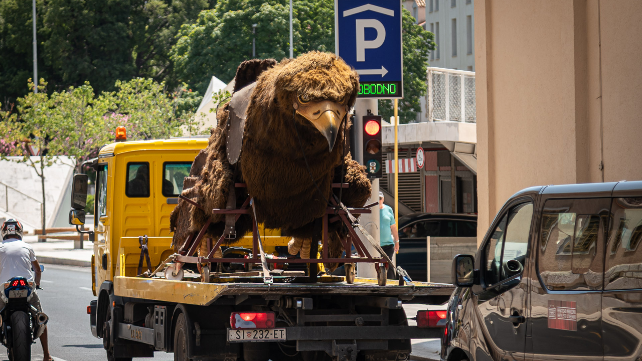 Ono kad stanete na semaforu na Poljani, a u vas s kamiona bulji ogromna ptičurina