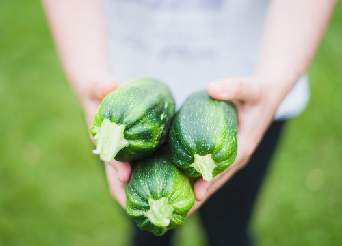 Brzi ručak, lagana večera ili maštovit prilog: Ovi recepti s tikvicama će vas oduševiti