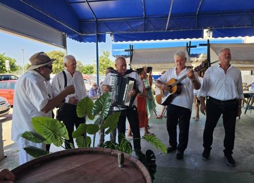 Fotografija 6 - Taste like...marenda u Pirovcu