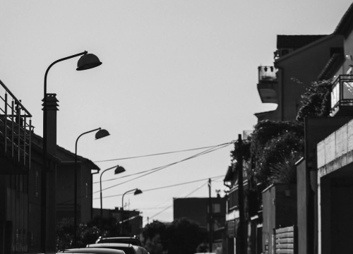 Fotografija 5 - Na brdu iznad Šibenika: Mažurice s pogledom na grad, mirom i zajedništvom