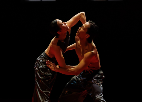 Fotografija 9 - Suvremeni ples pod otvorenim nebom: Danas počinje Šibenik Dance Festival