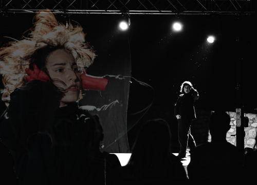 Fotografija 8 - Šibenik Dance Festival