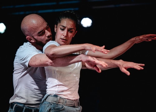 Fotografija 4 - Šibenik Dance Festival