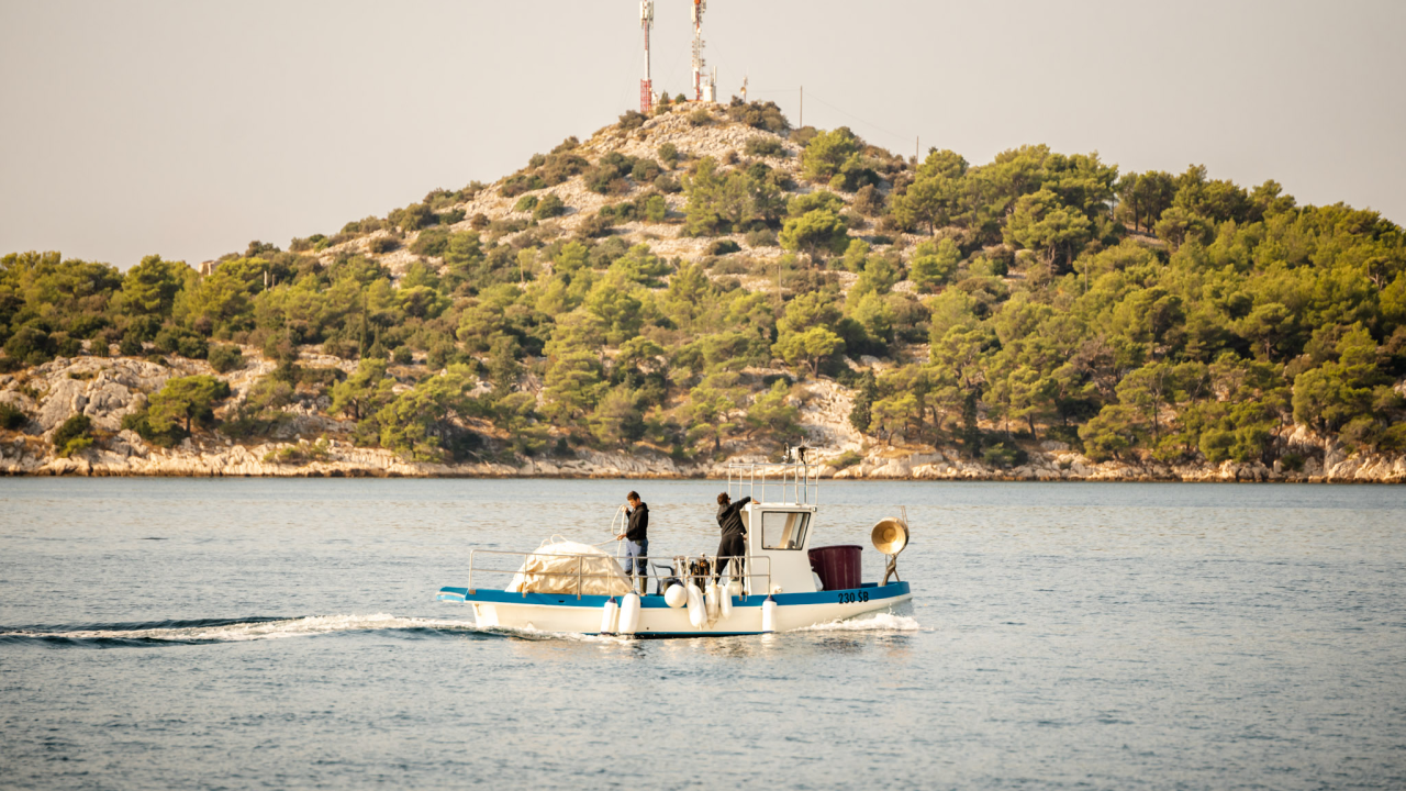 Usvojeno izvješće eurozastupnice Zovko za ravnopravne uvjete ribolova u Sredozemlju