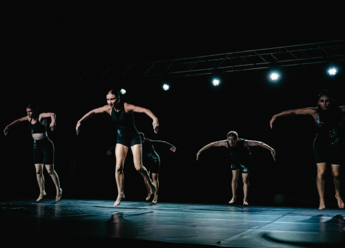 Fotografija 22 - Govor tijela jači od riječi: Večer snažnih poruka na Šibenik Dance Festivalu