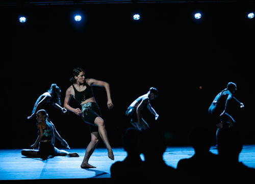 Fotografija 21 - Govor tijela jači od riječi: Večer snažnih poruka na Šibenik Dance Festivalu