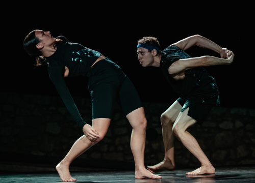 Fotografija 14 - Govor tijela jači od riječi: Večer snažnih poruka na Šibenik Dance Festivalu