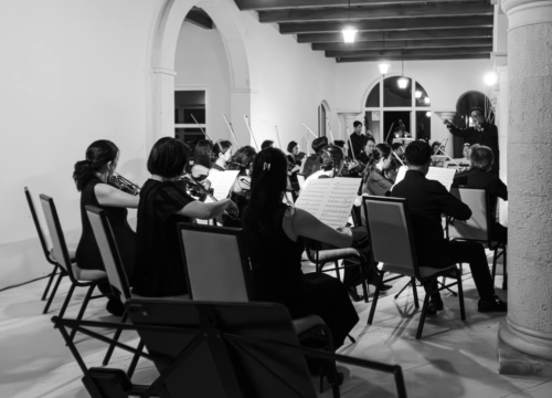 Fotografija 15 - Koncert u Amadria parku