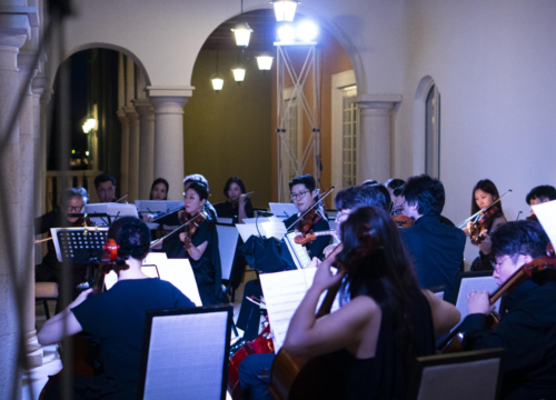 Fotografija 23 - Koncert u Amadria parku