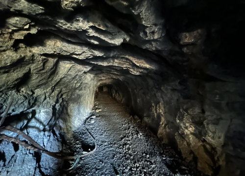 Fotografija 2 -  Ministrica kulture obišla industrijsku baštinu Siverića