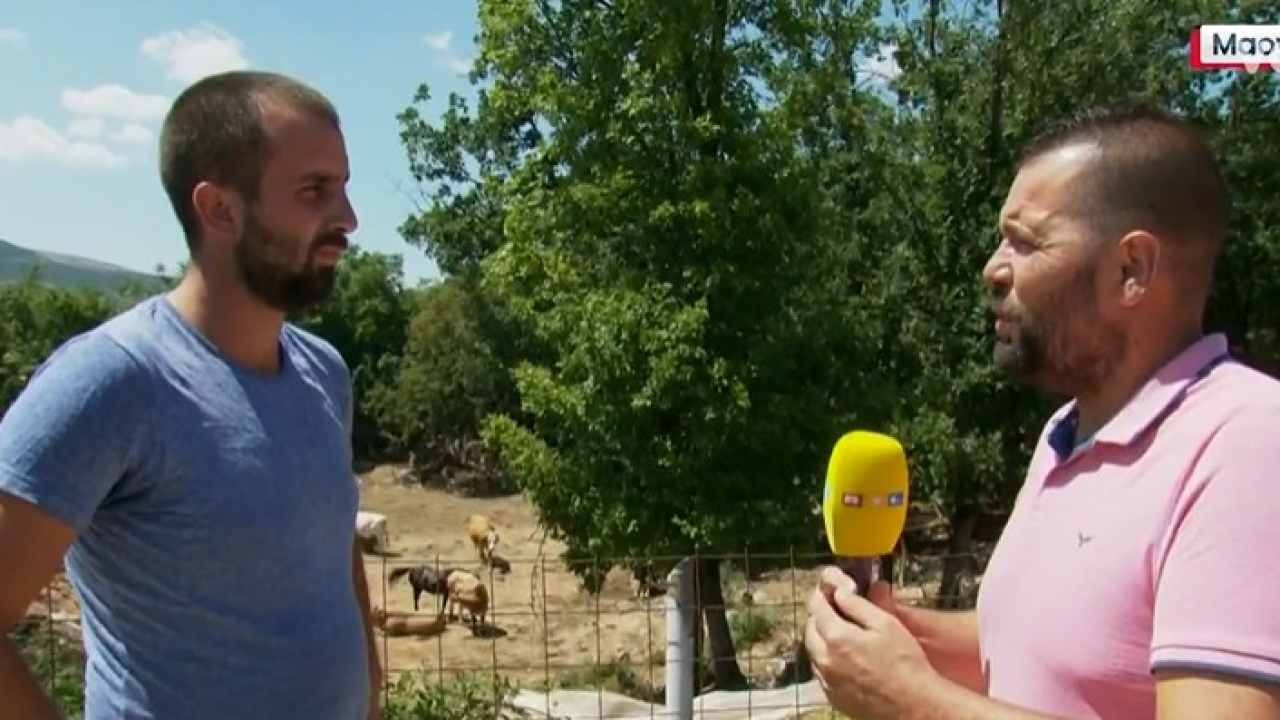 Stočari očajni zbog bedrenice: 'Kad su prve krave krepale, nitko nije došao provjeriti one zdrave'