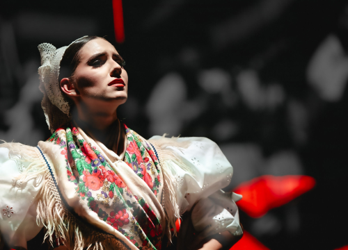 Fotografija 11 - Lado oduševio šibensku publiku