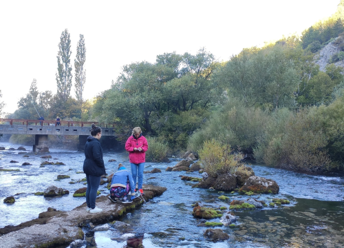Fotografija 3 - Znanstvenice s Ruđera dešifrirale genetsku tajnu parazita iz Krke koji 'usisava' teške metale