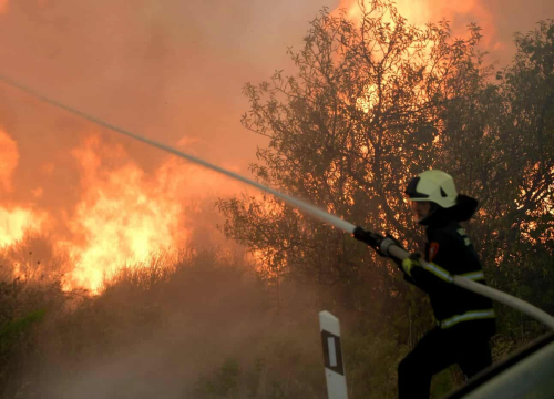 Fotografija 5 - Izbio požar u Jasenovu: Više vatrogasnih postaja izašlo na teren