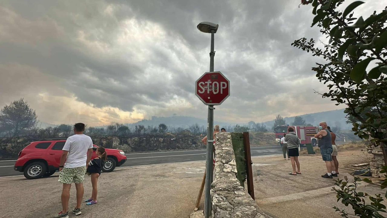 Požar u Jasenovu lokaliziran: Opožareno 40 hektara, vatrogasci rade na dogašavanju