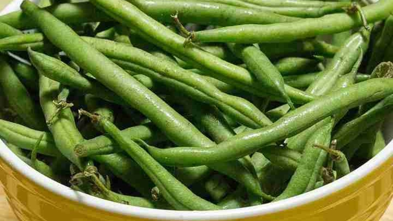 Mahune su pravi 'dar ljeta', napravite ovu laganu salatu inspiriranu Mediteranom