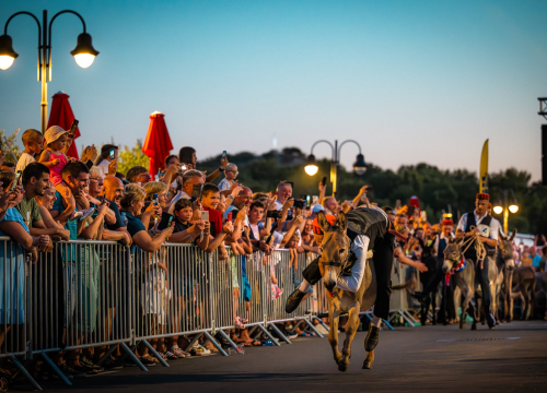 Fotografija 10 - Održane 58. magareće trke u Tribunju