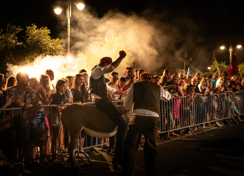 Održane 58. magareće trke u Tribunju. Titulu pobjednika ove godine odnio Josip Popov