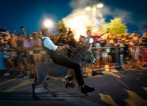 Fotografija 6 - Održane 58. magareće trke u Tribunju