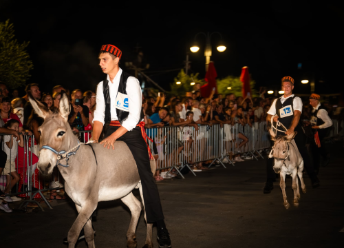Fotografija 5 - Održane 58. magareće trke u Tribunju