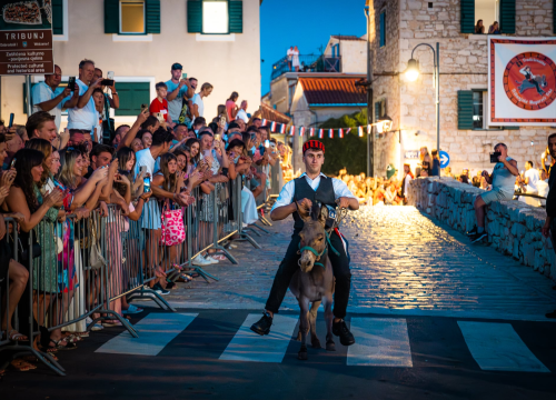 Fotografija 4 - Održane 58. magareće trke u Tribunju