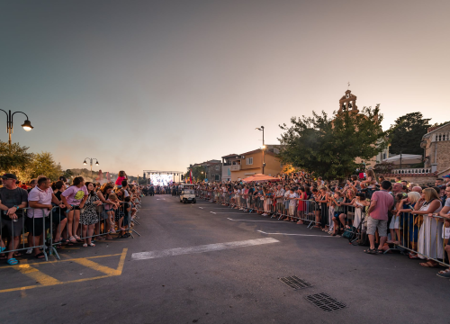 Fotografija 16 - Održane 58. magareće trke u Tribunju