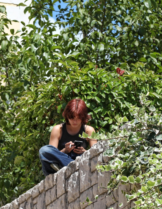 Đir po Prviću: Pripreme za 13. 'Šibenik u kadru' u znaku Fausta Vrančića