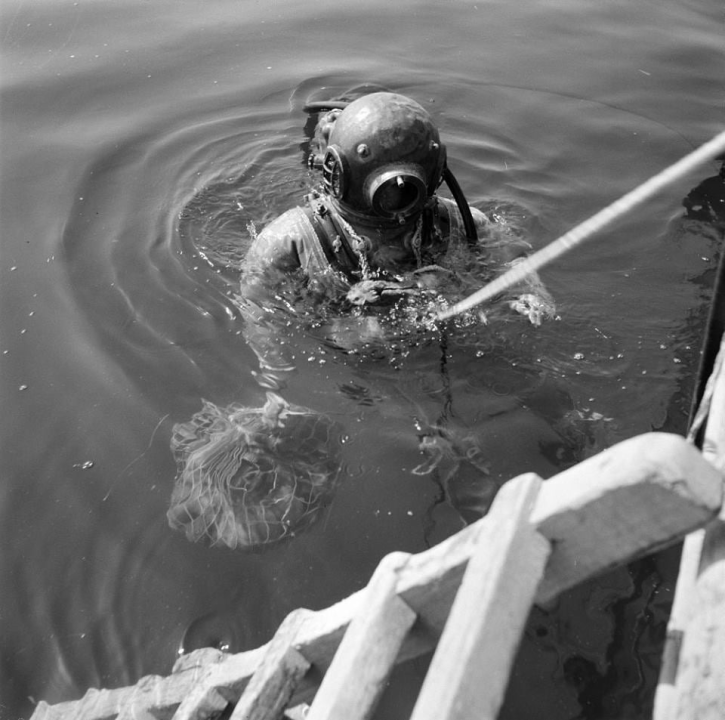 'Botnica' s okusom prošlosti: Krapanjska priča o hobotnici i ljudima