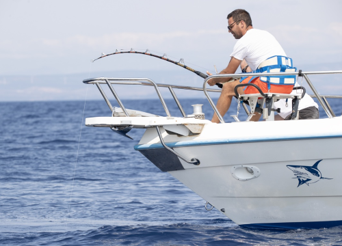 Fotografija 4 - FOTO Lov na velike trofejne ribe u Rogoznici: Tune grizu, vode Kaštelani