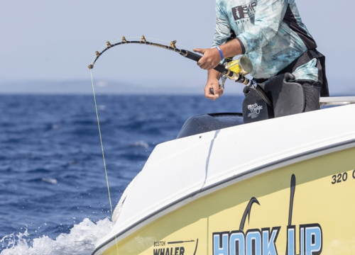 Fotografija 11 - FOTO Lov na velike trofejne ribe u Rogoznici: Tune grizu, vode Kaštelani