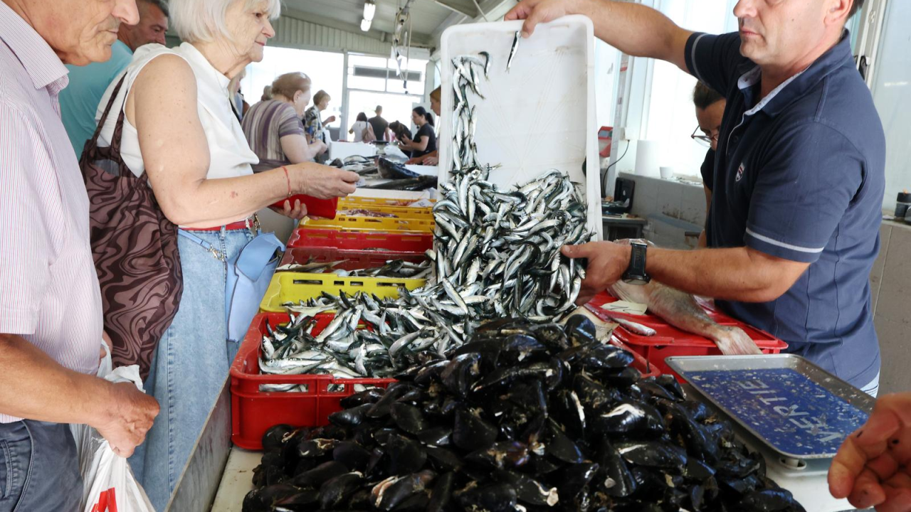 Petak je, dan od ribe, na šibenskoj peškariji bogata ponuda