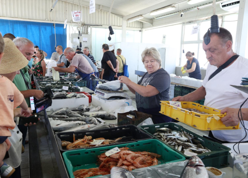 Petak je, dan od ribe, na šibenskoj peškariji bogata ponuda