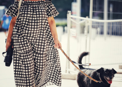 Fotografija 44 - Đir po gradu, subota 9. kolovoza