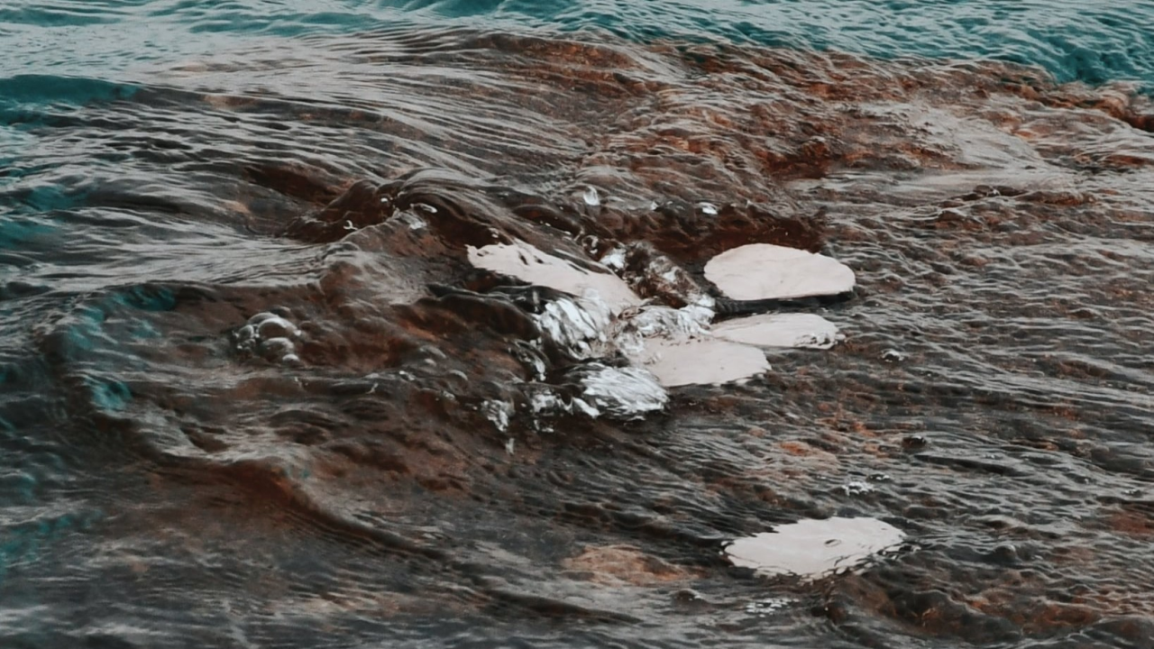 Otvorenje izložbe 'Val od soli' Nataše Ninić: Valovi, kristali i tišina u Galeriji sv. Krševana