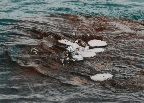 Fotografija 3 - U četvrtak otvorenje izložbe 'Val od soli' Nataše Ninić