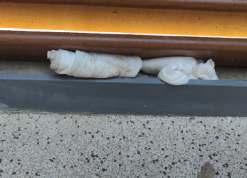 Fotografija 2 - FOTO Fekalije po zidu, zaštopani zahodi, tamponi u okvirima, razbacano smeće – s tim se na Rezalištu svakodnevno bore djelatnici Zelenog grada