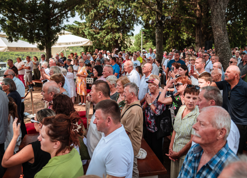 Fotografija 45 - FOTO Blagdan Velike Gospe u Vrpolju: Brojni vjernici okupili su se jutros na svečanom misnom slavlju