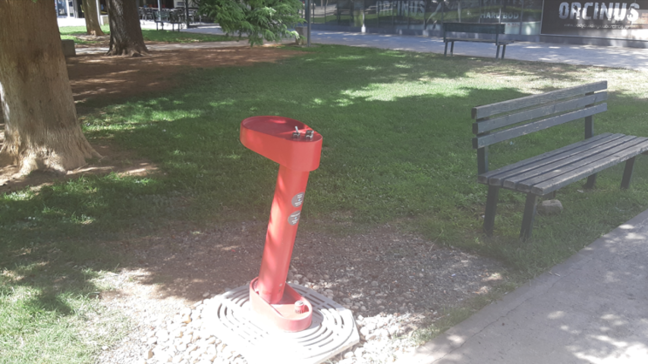 Nije prijelomna vijest, ali čovjeka (i životinju) veseli – vratila se špina na Baldekinu