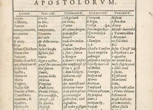 Fotografija 2 - Remek-djelo Šibenčanina Fausta Vrančića: Na današnji dan objavljen prvi riječnik hrvatskog jezika